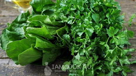 соус песто из первой зелени