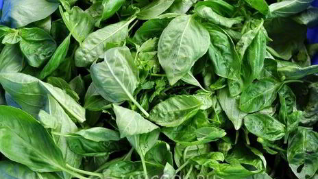 соус песто неклассический