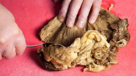 тартар из баклажанов