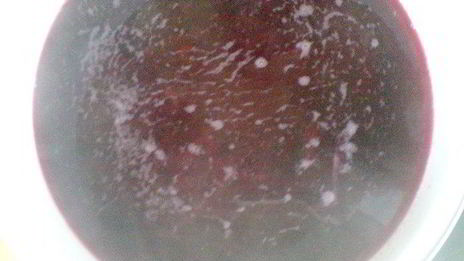 борщ красный холодный