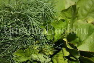 Борщ летний щавелевый