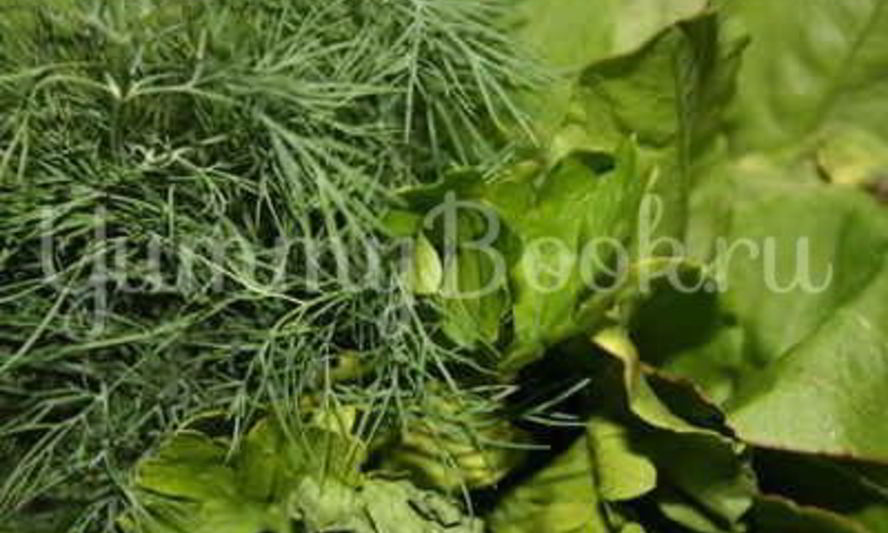 Рецепт борщ летний щавелевый