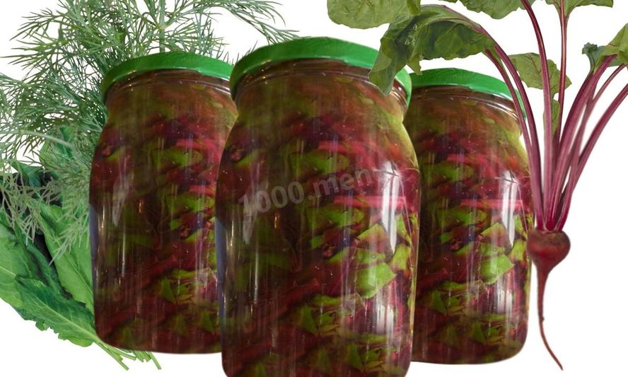 Рецепт борщевая заправка из морковной ботвы и щавеля