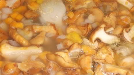 лисички с курицей в бульоне