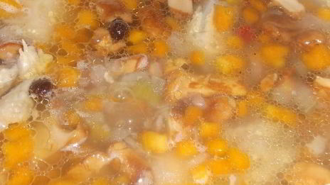 лисички с курицей в бульоне