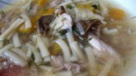 суп из белых грибов на курином бульоне