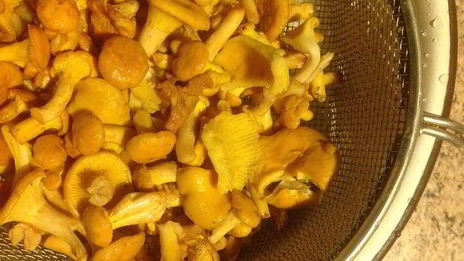 деревенский суп с лисичками