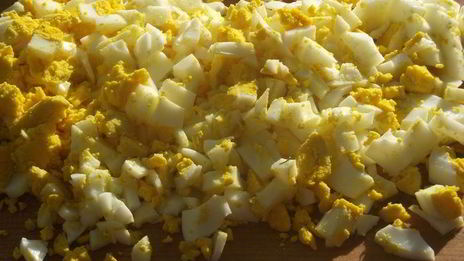 белорусский холодник