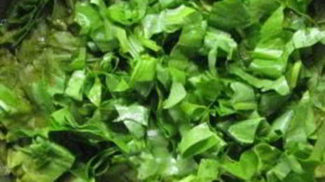 холодник по-белорусски на кефире