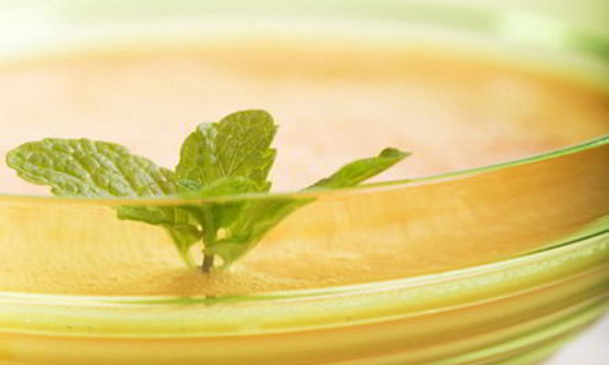 Рецепт холодный дынный суп