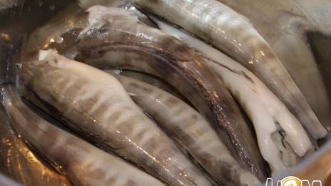 холодный рыбный суп