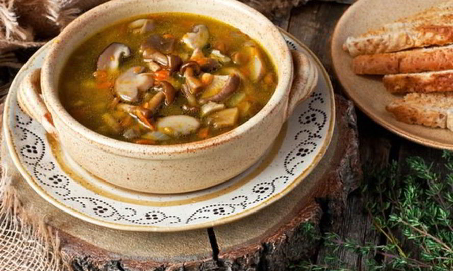 Рецепт холодный суп из лесных грибов