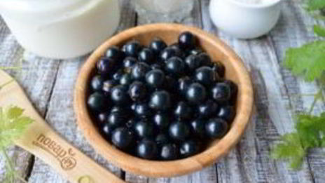 сладкий холодник