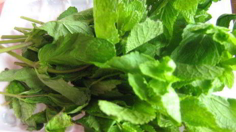 таратор с авокадо и мятой