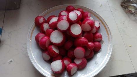 окрошка на уксусе