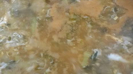 деревенские щи