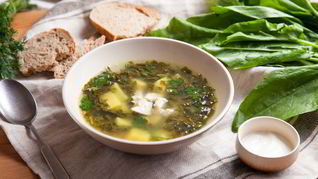 Классические щи из молодого щавеля