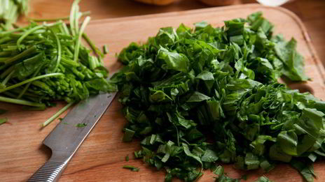 классические щи из молодого щавеля