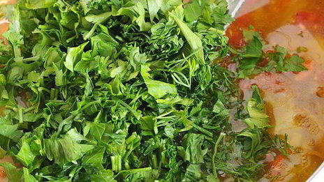 летние щи из свежей капусты