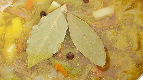 летние щи из свежей капусты