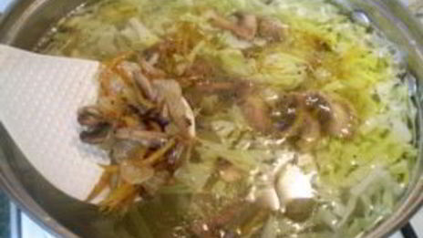 постные щи из свежей капусты с грибами