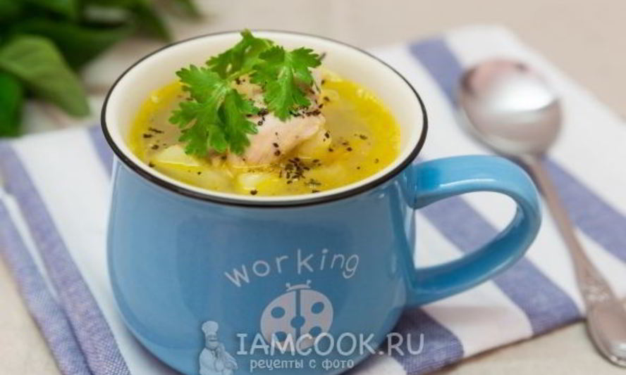 Рецепт щи из квашеной капусты с курицей