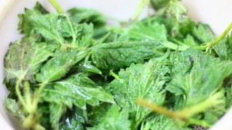 щи из щавеля с крапивой