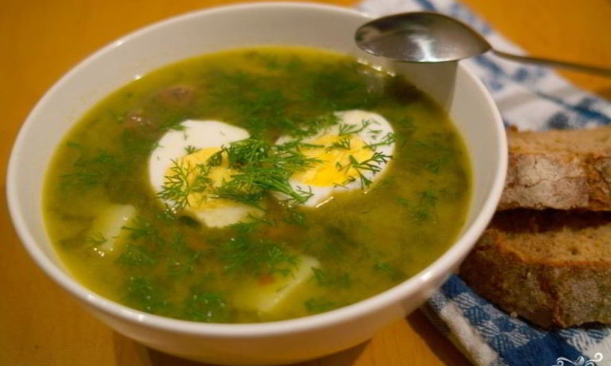 Рецепт щи из щавеля с курицей
