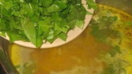 щи из щавеля с курицей