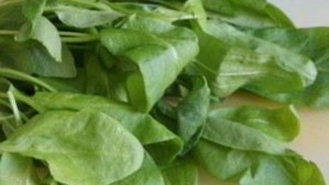 щи с бараниной