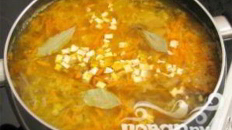 щи с кислой капустой и мясом