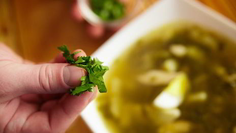 щи щавелевые