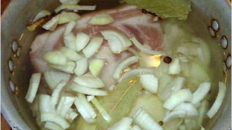 щи томленые кислые со свининой