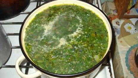 зеленые щи