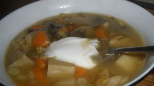 Густая солянка с лесными грибами