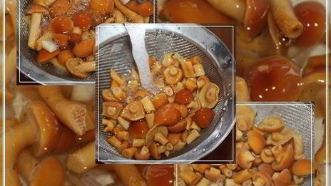 солянка рыбная сборная