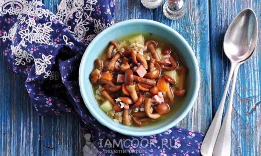Рецепт суп грибной из замороженных опят