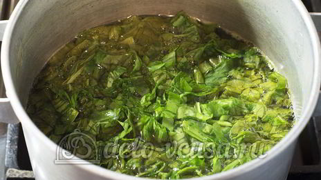 суп из щавеля без мяса