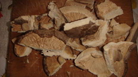 грибной суп-пюре капучино