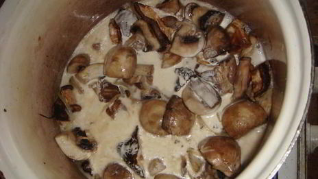 грибной суп-пюре капучино