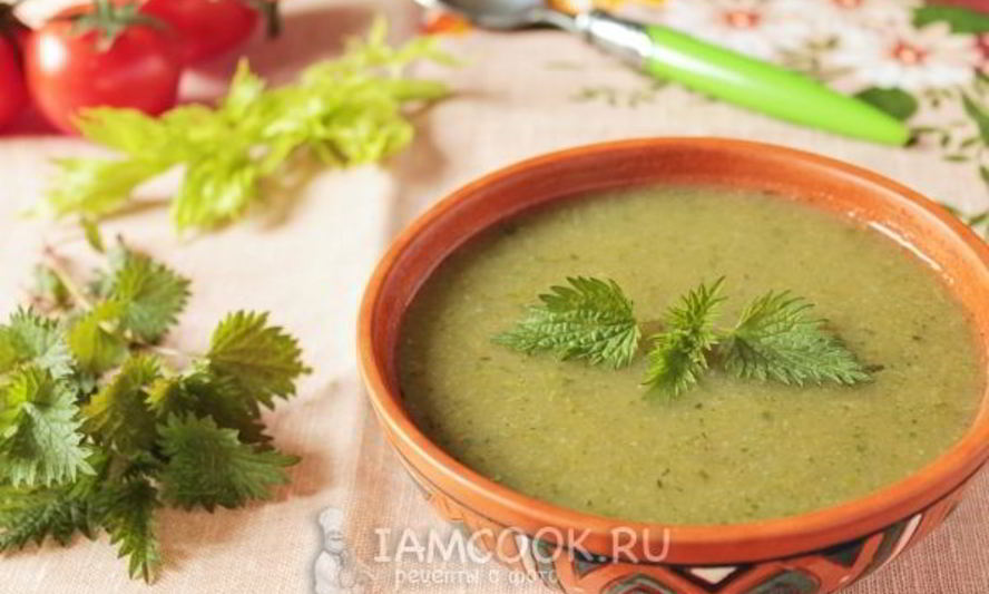 Рецепт суп-пюре из черешкового сельдерея с крапивой