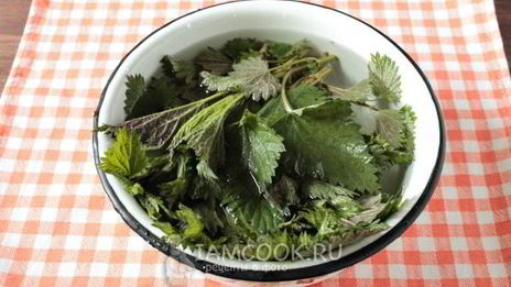 суп-пюре из черешкового сельдерея с крапивой