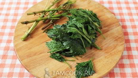 суп-пюре из черешкового сельдерея с крапивой