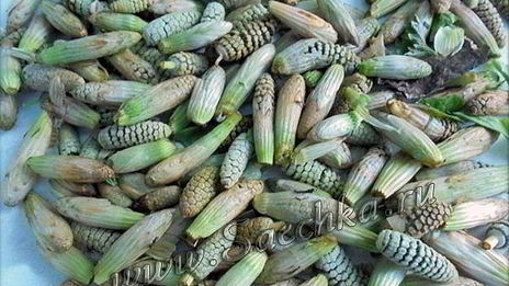 суп с пистиками, снытью и яйцом