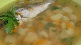 Классическая уха из карася