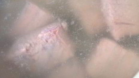 молочная уха