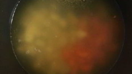 настоящая уха