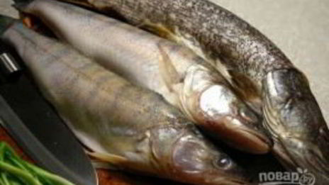 уха архиерейская