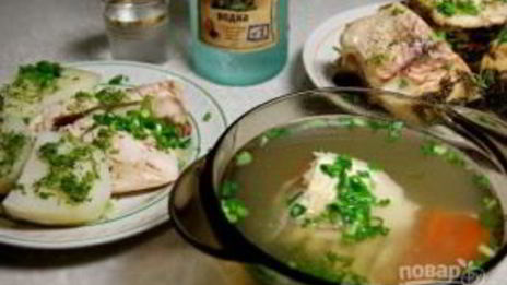 уха архиерейская