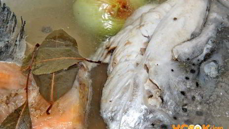 уха из головы семги